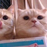 Avatar de Camila Reyes